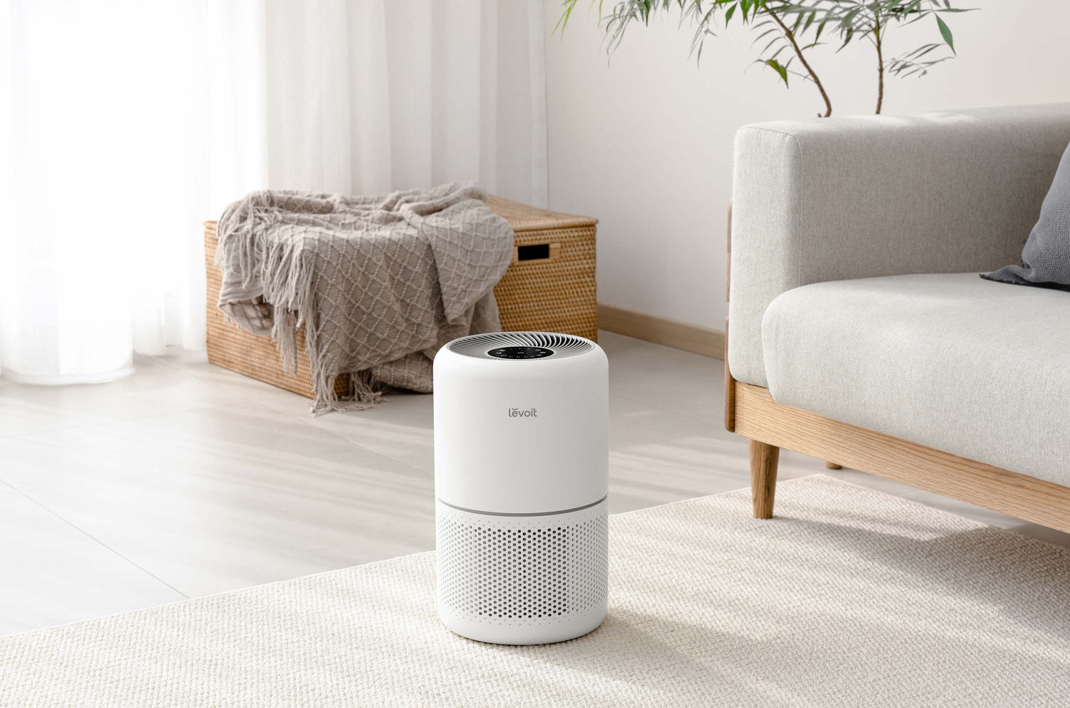 花粉対策におすすめのLevoit空気清浄機の選び方