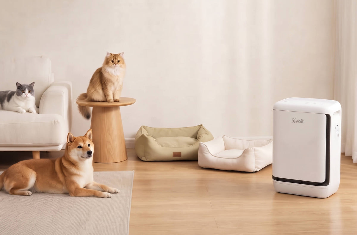 愛犬・愛猫と過ごす秋をもっと快適に!知っておきたいペットケアのポイント