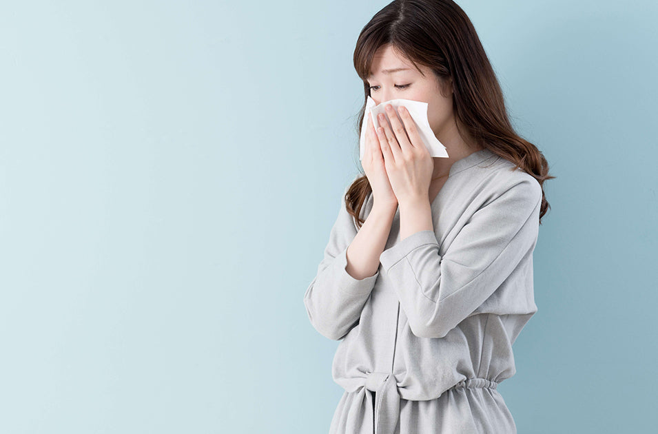 秋の花粉症対策におすすめ!空気からはじめる快適生活
