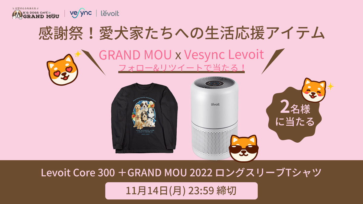 大型犬カフェGROUND MOU X VeSync フォロー&リツイートキャンペーン実施中!