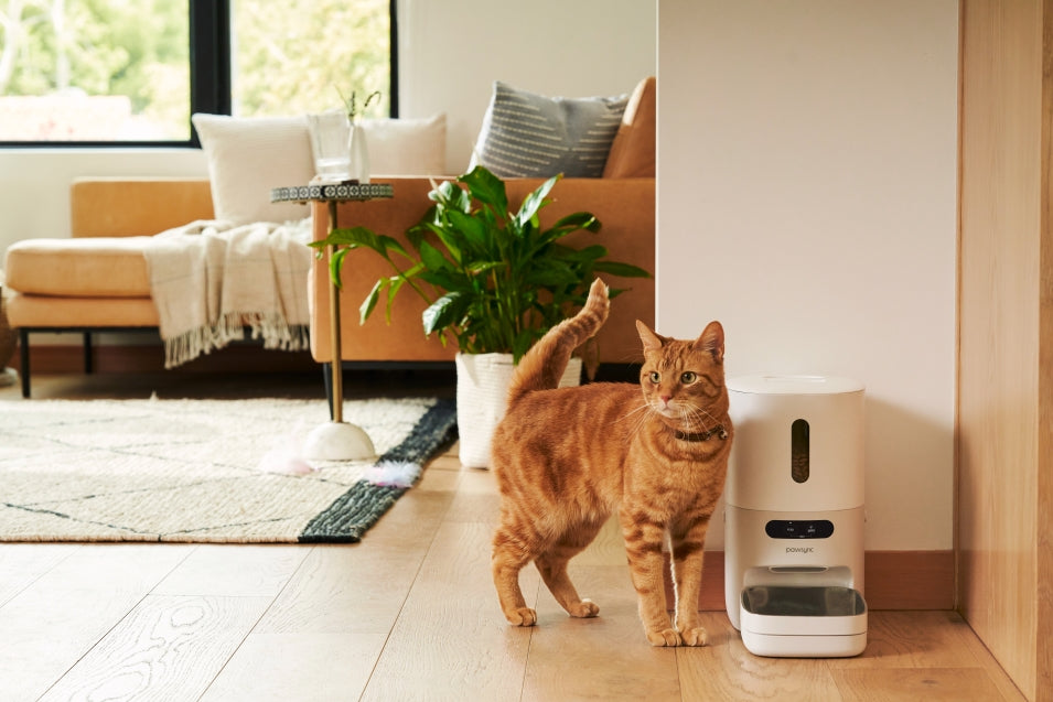 愛猫・愛犬がちゃんとご飯を食べてくれない…」そんなお悩みに!