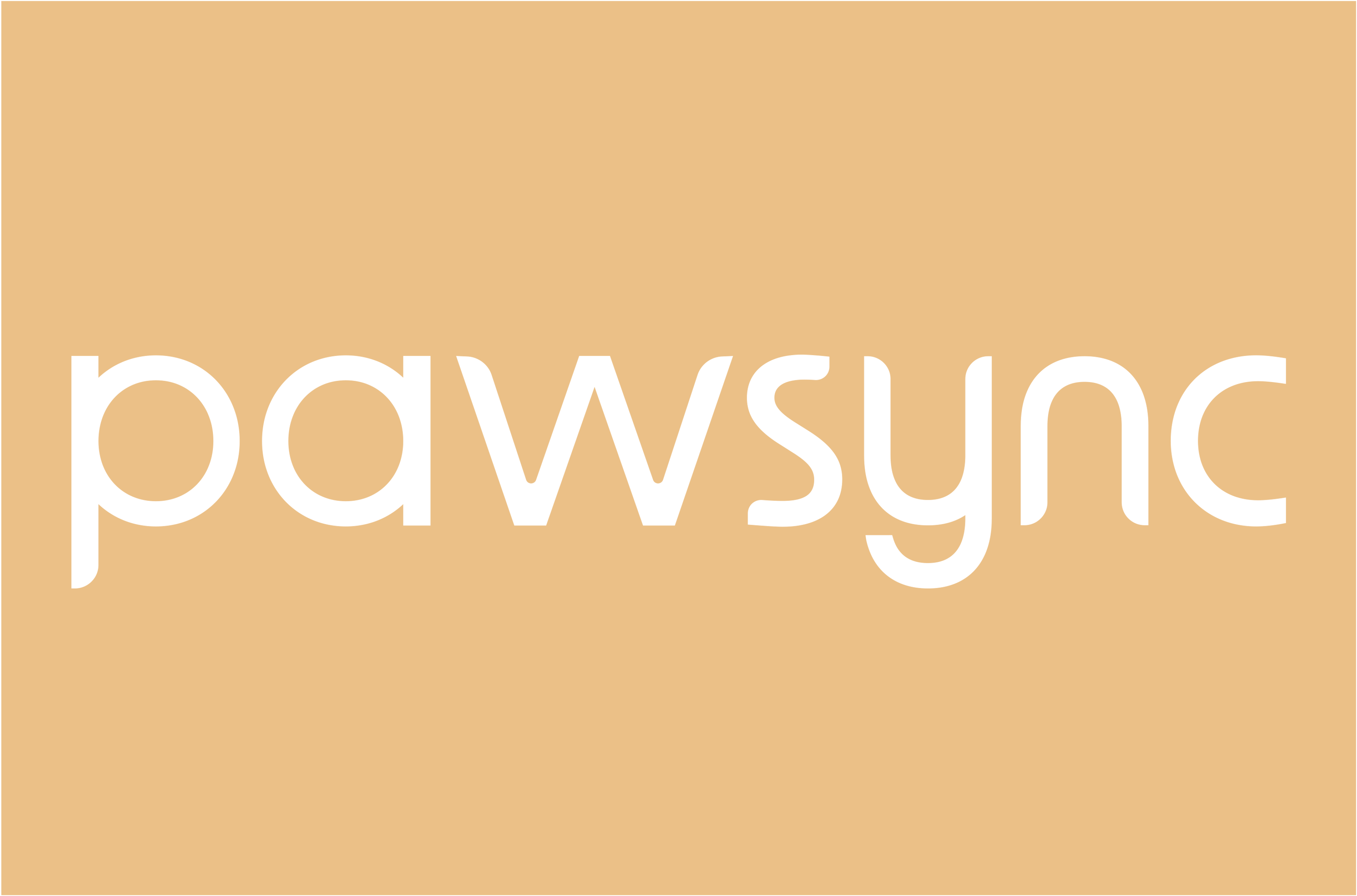 メディア掲載情報「わんちゃんホンポ」(2026年 1月16日)