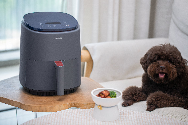 COSORI Lite Air-fryer(Gray)_017.jpg__PID:fb03309e-da61-427c-a0b7-6479203ff730