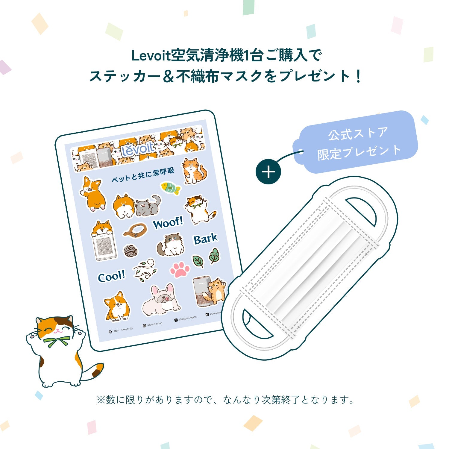 🎁 Levoit 不織布マスク(非売品) (100% off)