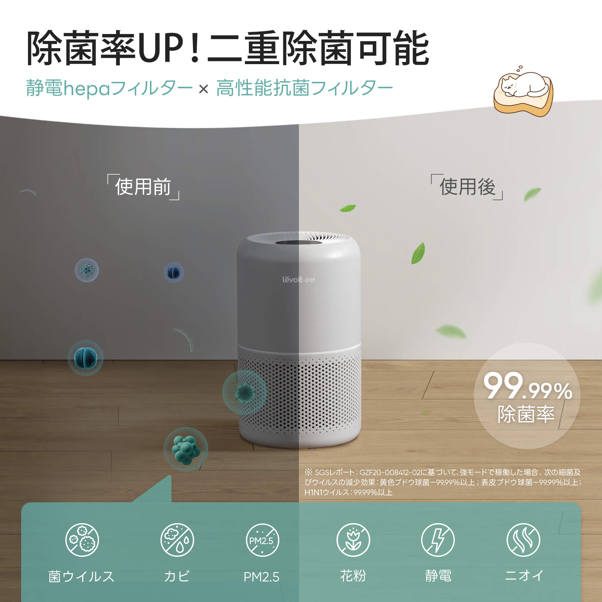 ペット向け空気清浄機+自動給餌器ペットケア特別セット