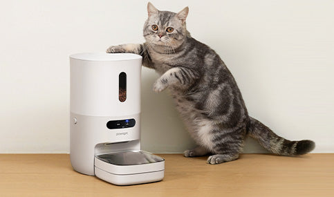 pawsyncペット自動給餌器