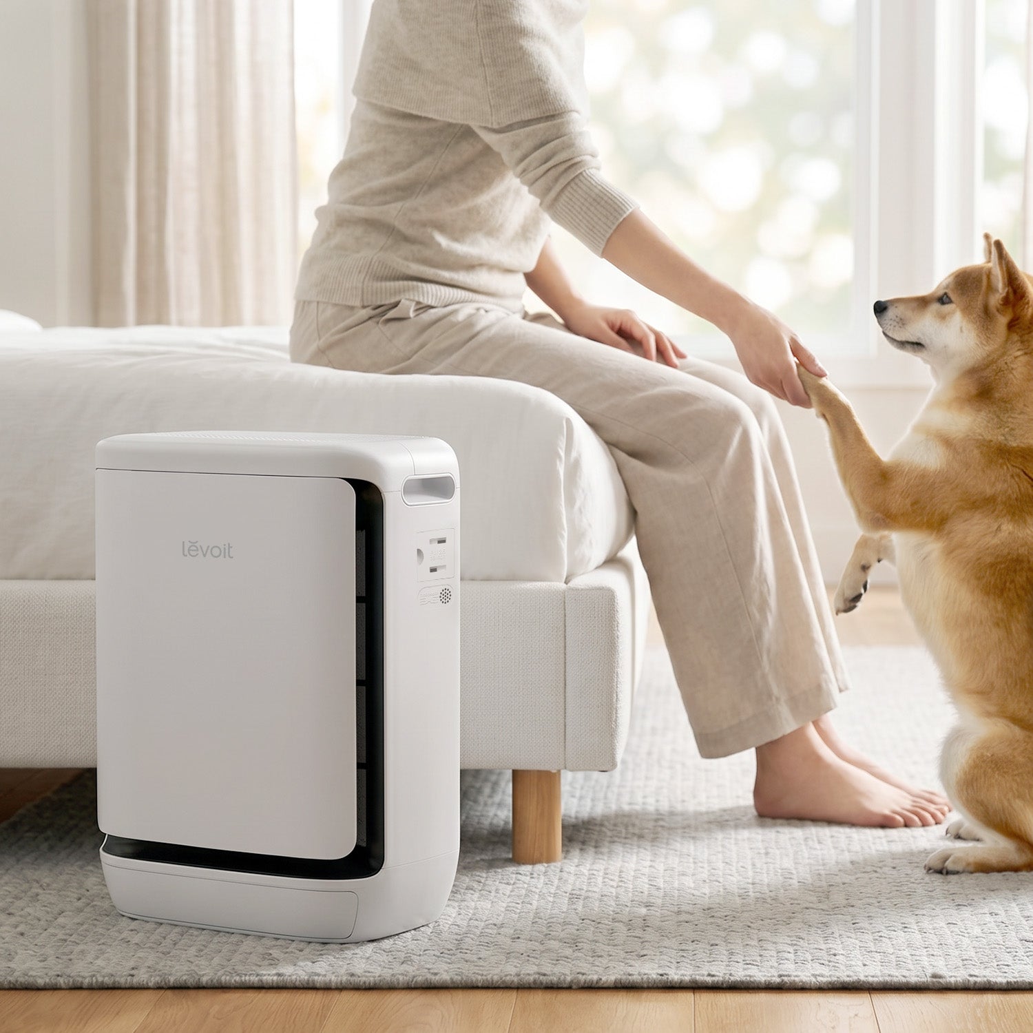 Vital Pet Pro 空気清浄機