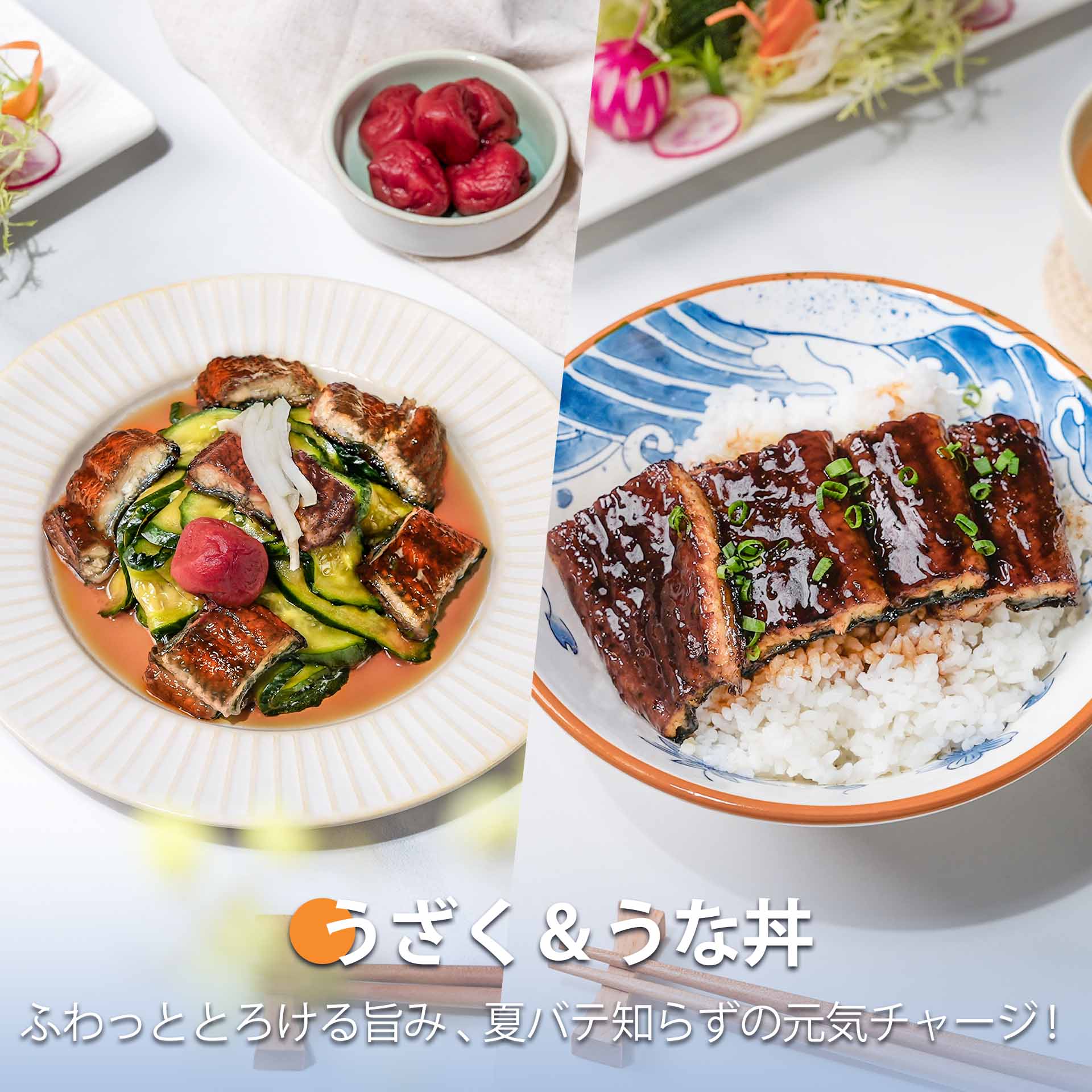うざく&鰻丼