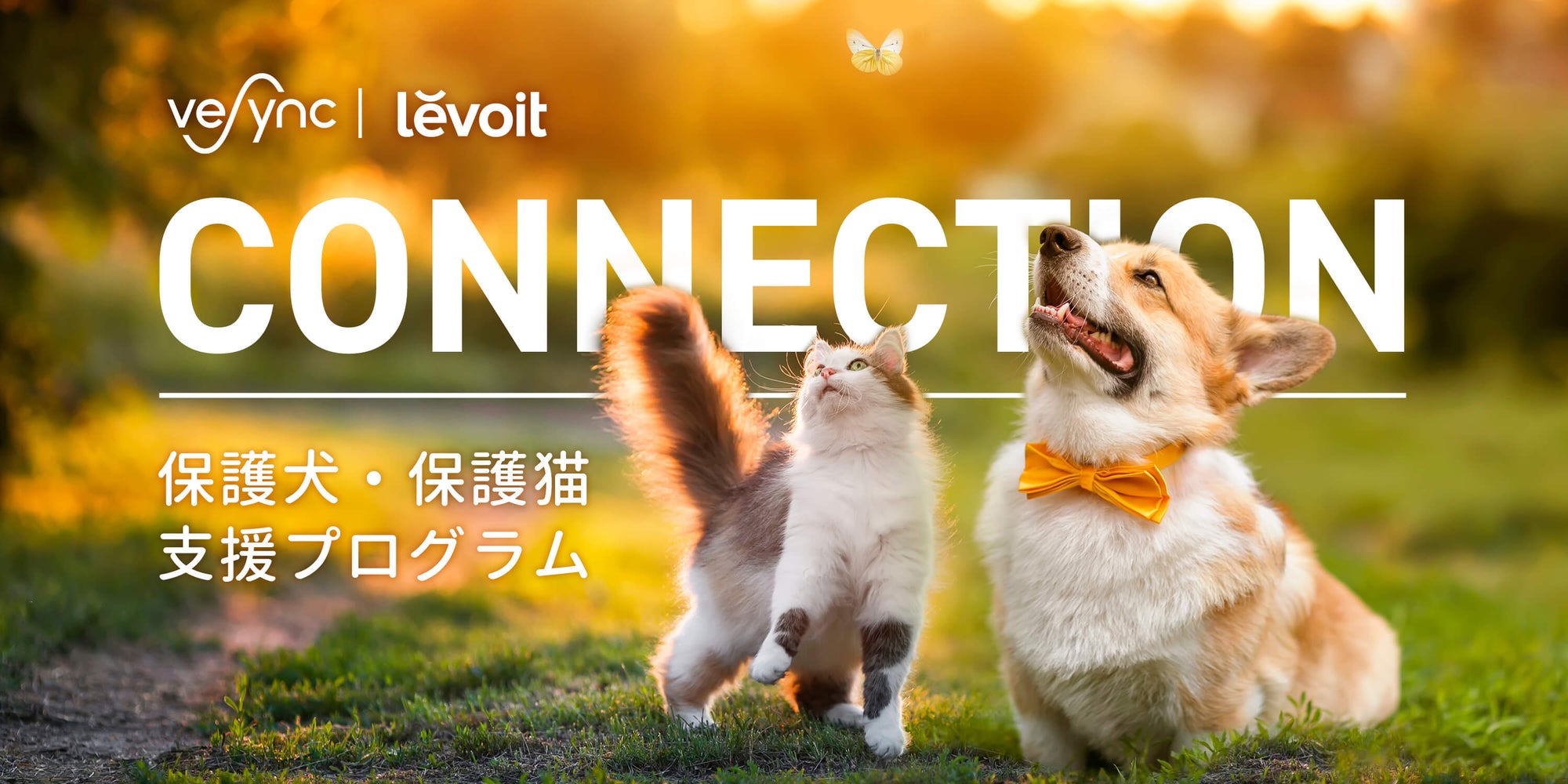 Amazonベストセラーを獲得したグローバル家電メーカーVeSync 「保護犬・保護猫 支援プログラム」を実施、ペット向けの機能搭載のLevoit 空気清浄機などを寄付
