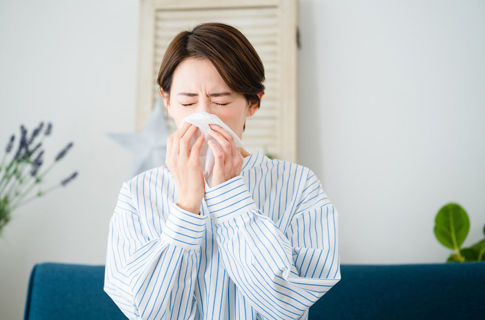 花粉症シーズンの必需品！空気清浄機が対策に効果的な理由と徹底紹介