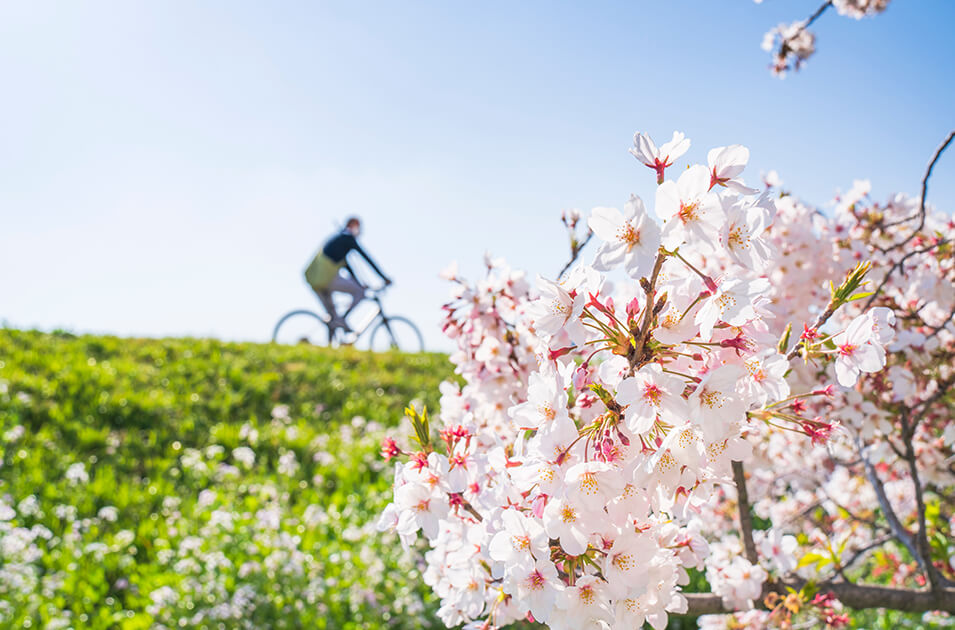 春の花粉症のピーク時期は？つらい季節に備える空気環境の整え方