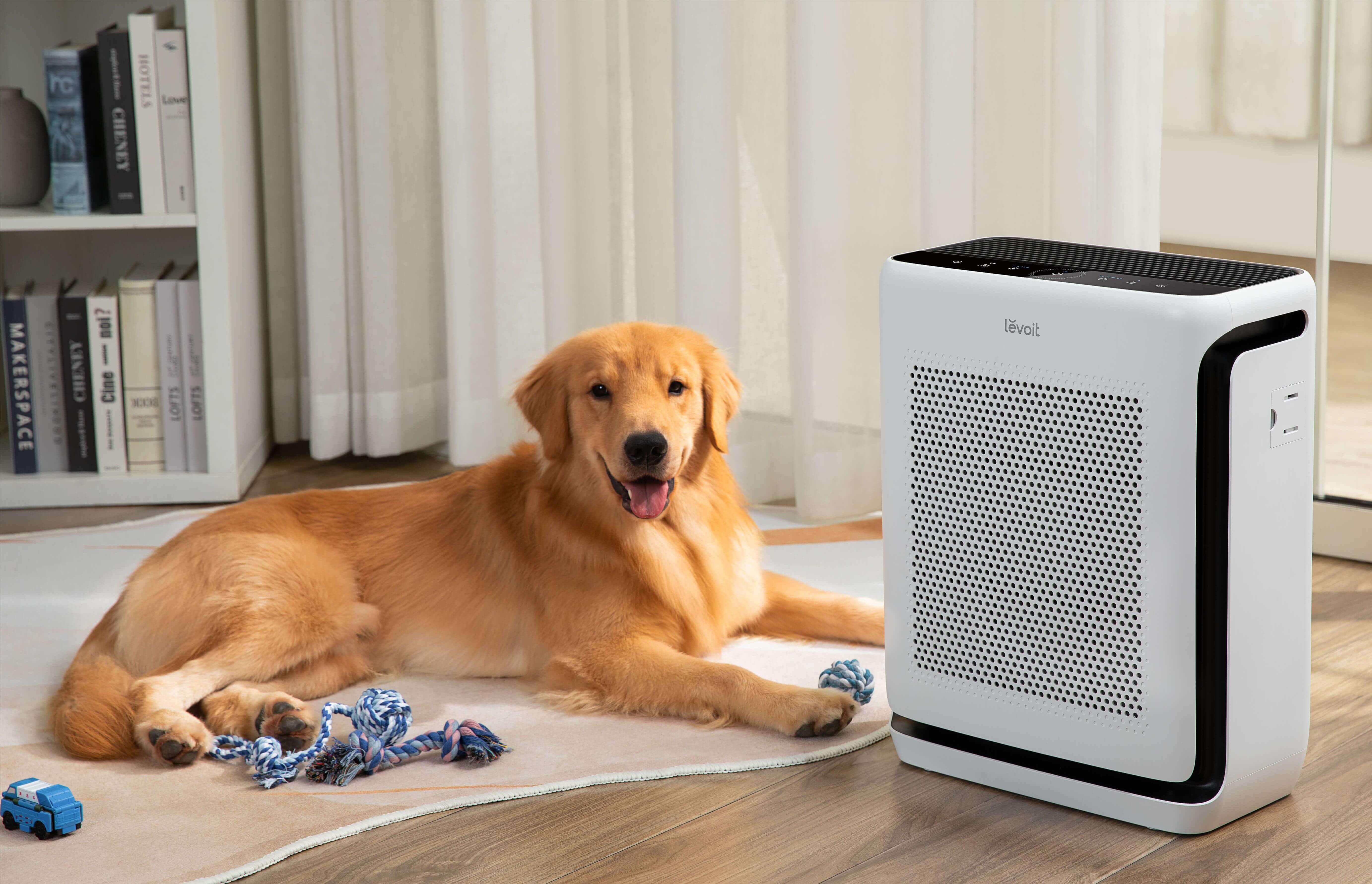 VeSyncブランド「COSORI」「Etekcity」の2製品が『LDK』誌で高