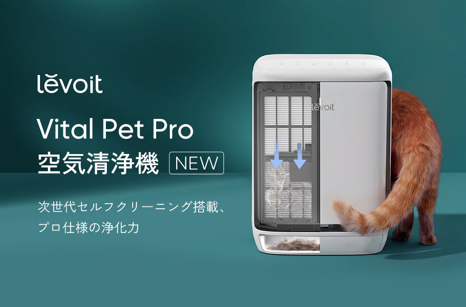 Levoit Vital Pet Pro新発売！毛・ニオイ自動ケア
