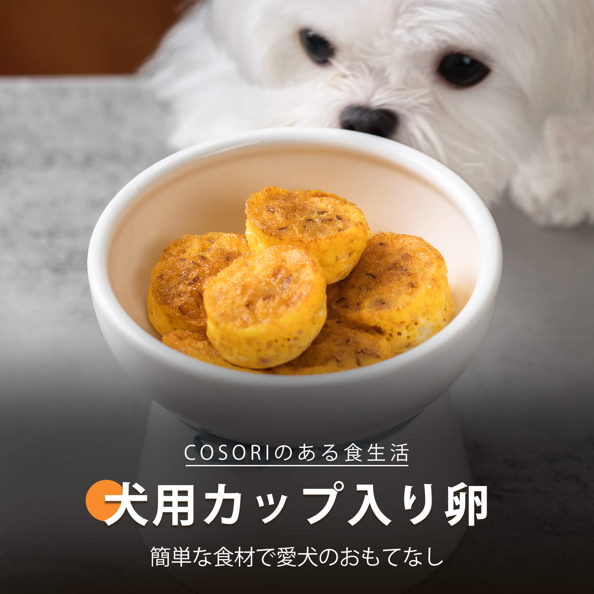 犬用カップ入り卵