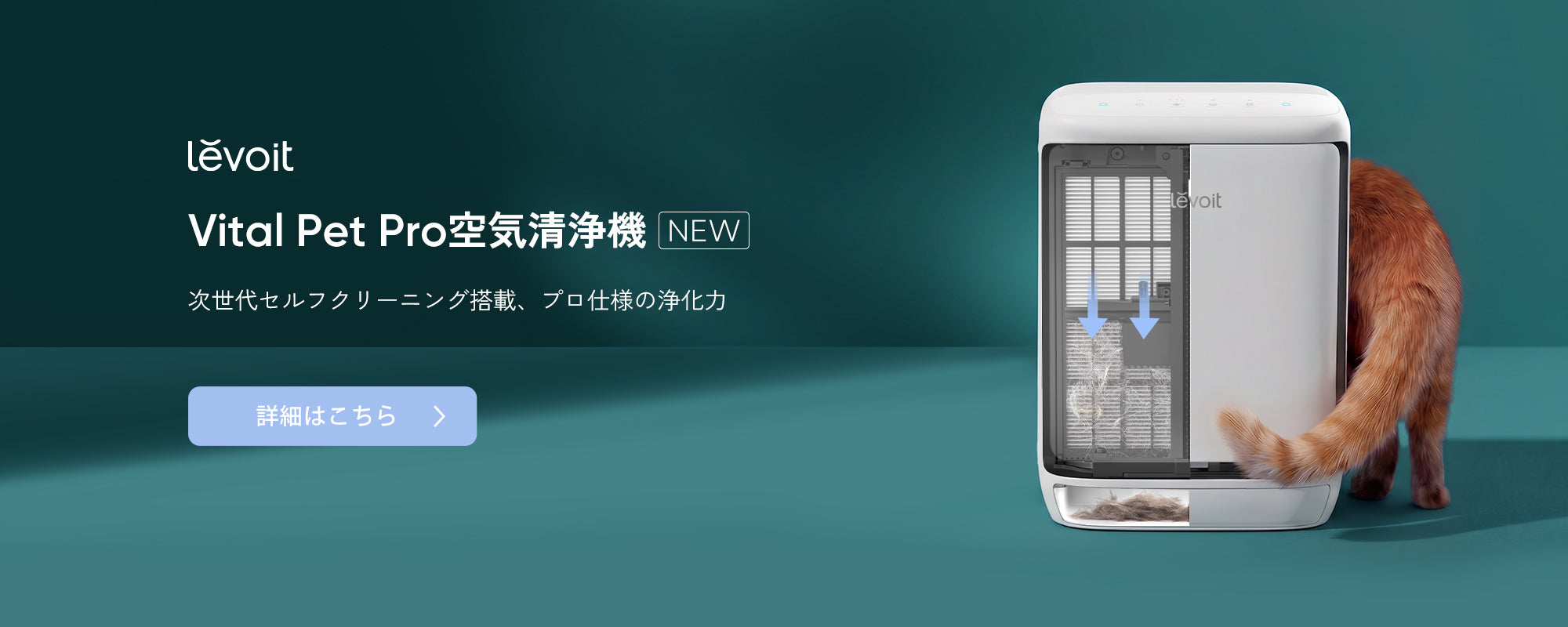 VeSync Japan | COSORI、 Levoit、 Etekcity、Pawsyncの公式サイト