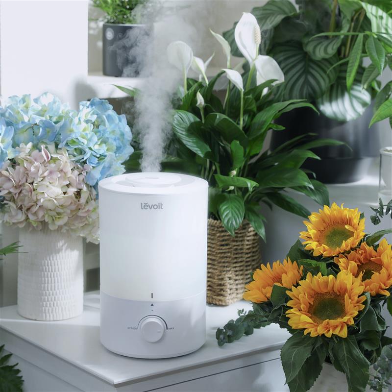 Levoit Dual 150 3L 超音波式加湿器