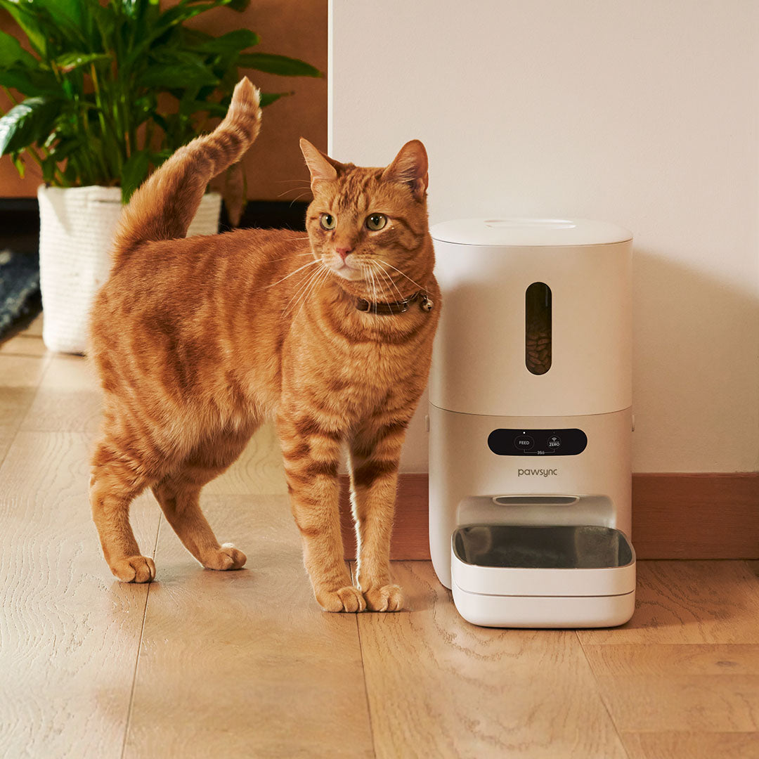 VeSync Japan | COSORI、 Levoit、 Etekcity、Pawsyncの公式サイト