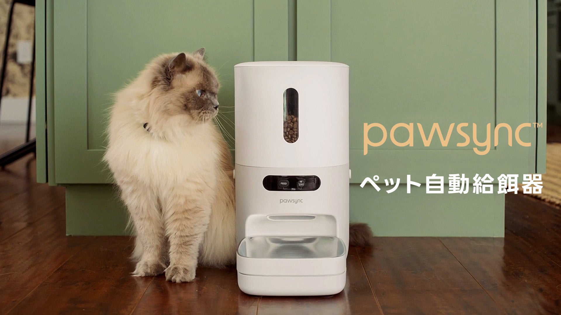 Pawsync ペット自動給餌器 Pawsync ペット自動給餌器