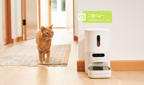 Pawsync ペット自動給餌器